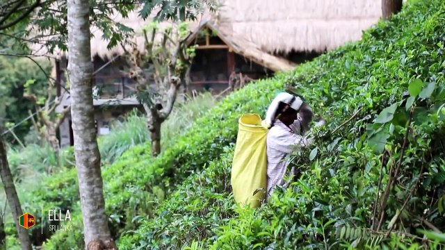 Vivez en à peine 3 minutes un voyage de 5 ans en Asie à travers 15 pays