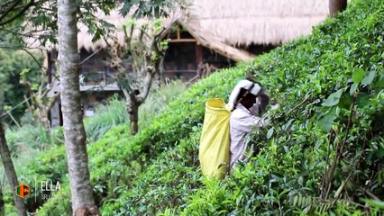 Vivez en à peine 3 minutes un voyage de 5 ans en Asie à travers 15 pays