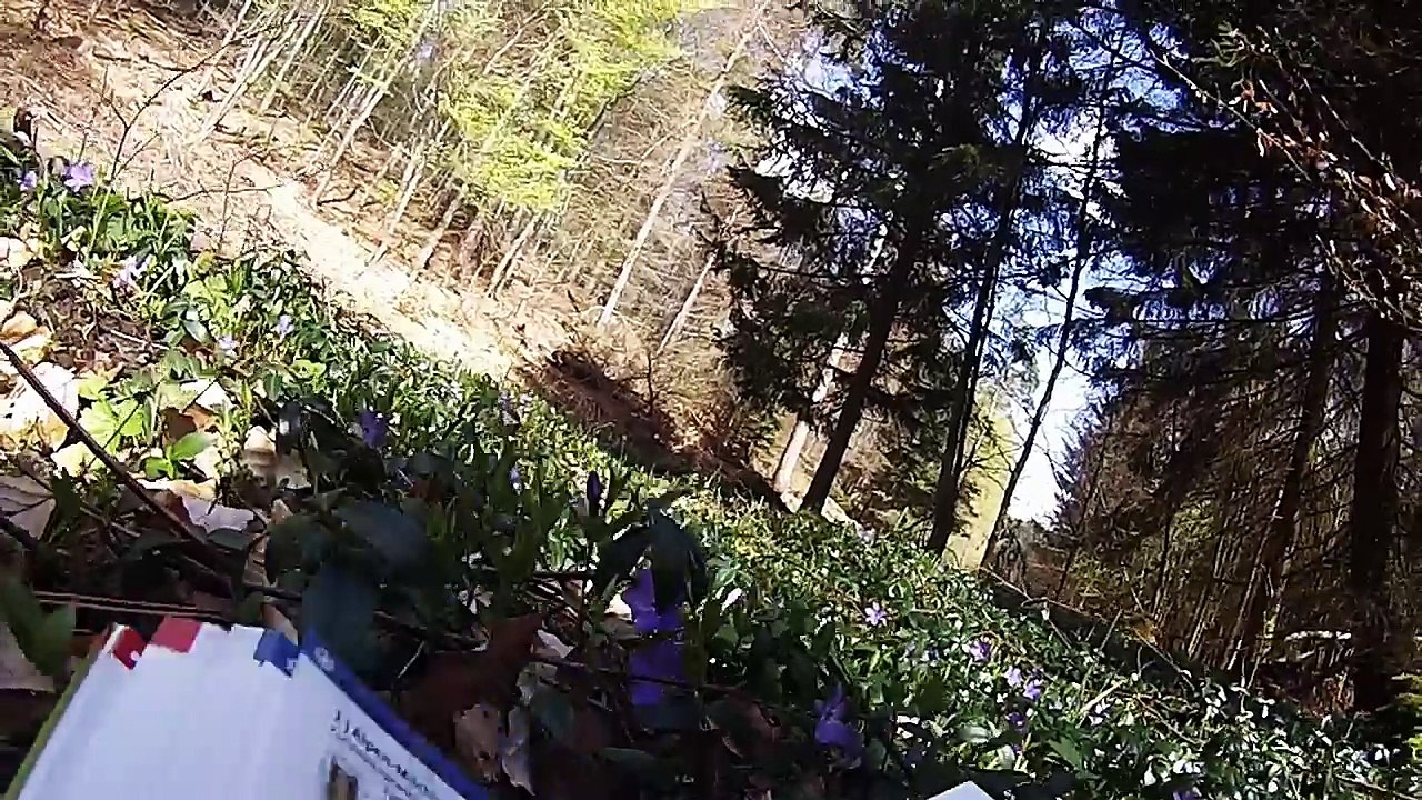 Erste Nacht allein im Wald - Vogelsberg - Bushcraft