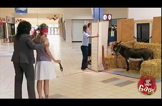 donkey prank in Just for lough Gags vedios