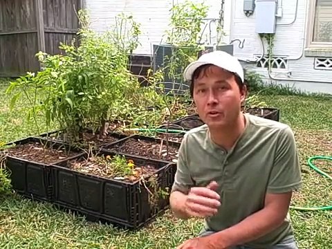 Easy to Install Irrigation System for Raised Bed Gardens that Beats Drip Irrigation