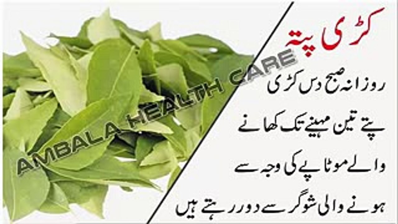 Kadi Patta Ke Faide _ Motapay Ka Sugar Kam Ya Khatam Karne Ka Tarika Aur Ilaj