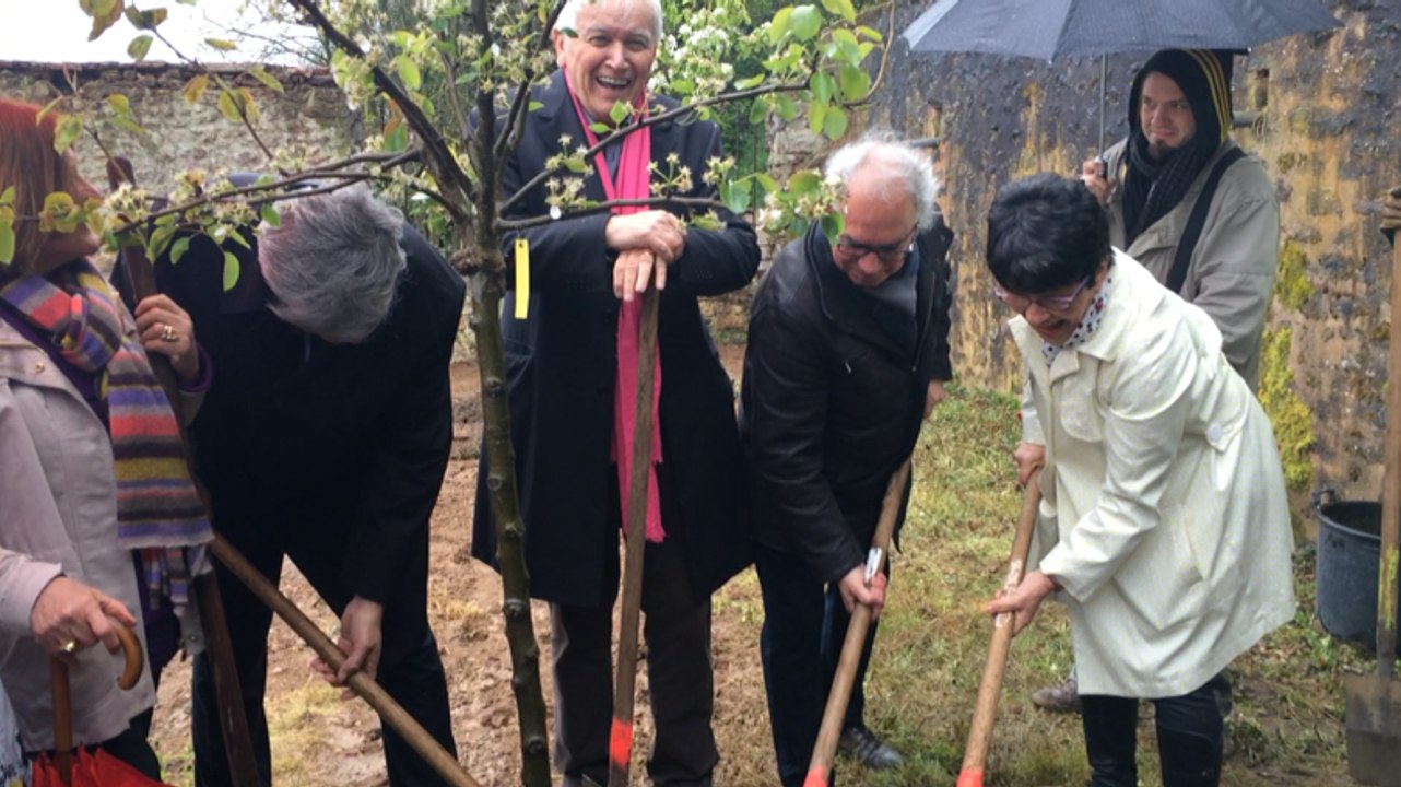 Les premiers arbres sont plantés
