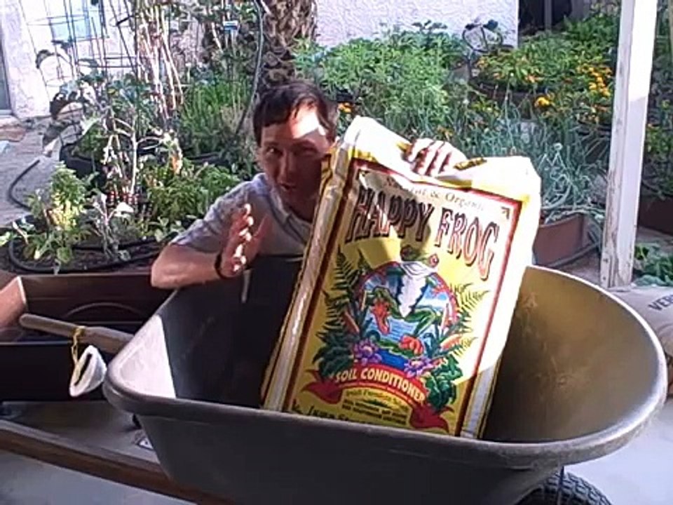 How to Grow an Easy Patio Apartment Container Garden for Beginners