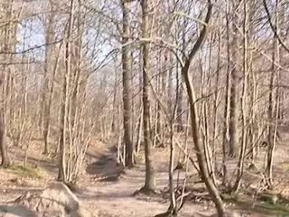 "PROGRESSION" vtt cagette dh freeride