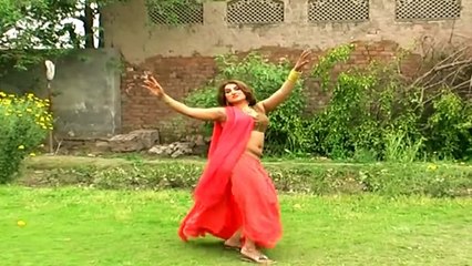 GULNAZ PUNJABI MUJRA - PAKISTANI MUJRA DANCE 2014