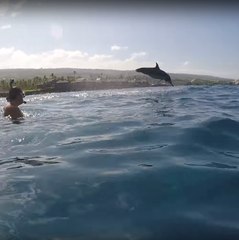 Un numéro aquatique de haute voltige