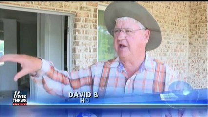 Unexpected guest- Alligator found squatting in home