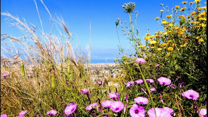 ARRIVA MAGGIO DA UN'IDEA DI SALVATORE MARRARI