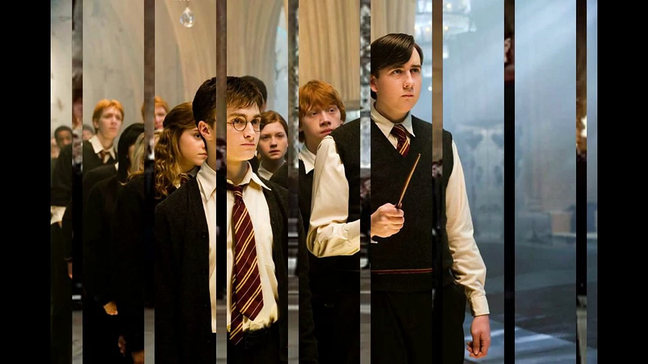 Baguette de Harry Potter et de Voldemort + bonus: bien présenter une baguette