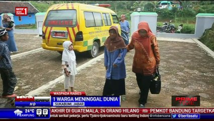 12 Warga Sukabumi Positif Rabies, 1 Meninggal