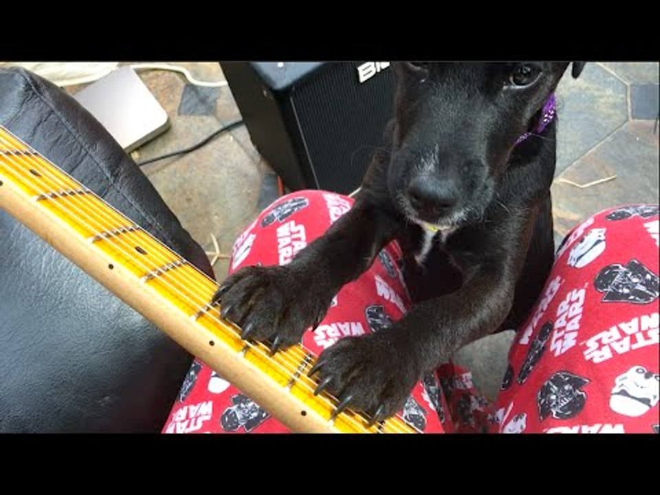 Luna Helps Me Prepare For Tour