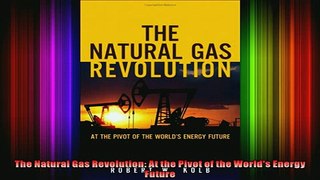 READ book  The Natural Gas Revolution At the Pivot of the Worlds Energy Future Full EBook