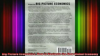READ book  Big Picture Economics How to Navigate the New Global Economy Online Free
