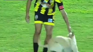 Funny Football moments Pitch Invader video on dailymotion