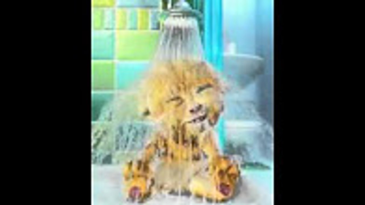 Ha Ha Good Morning-Talking Tom Taking Bath-Funny Videos-Whatsapp Videos-Prank Videos-Funny Vines-Viral Video-Funny Fails-Funny Compilations-Just For Laughs