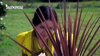 پل پل دل کے پاس تم رہتی ہوں