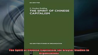 READ book  The Spirit of Chinese Capitalism de Gruyter Studies in Organization Online Free