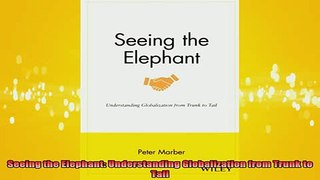READ book  Seeing the Elephant Understanding Globalization from Trunk to Tail Free Online