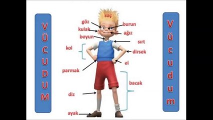 İki elim, iki kolum, bacaklarım var Vücudumuz Çocuk Şarkısı