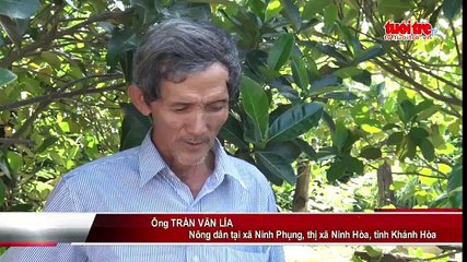 Nông dân sản xuất thành công phân bón từ rác