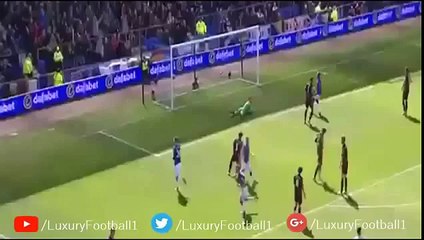 Goal Tom Cleverley 30-04-2016