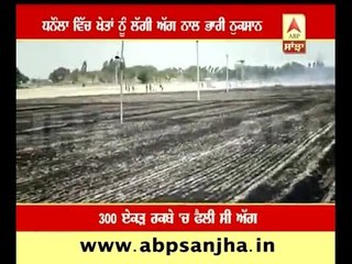 Dhanaula: Fire in agriculture farms