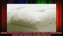 unmatched  3 Inch Organic Wooly Mattress Pillow Top  California King Topper