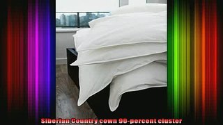 new release  Dreamsong D40B200413 Country Down Queen Comforter