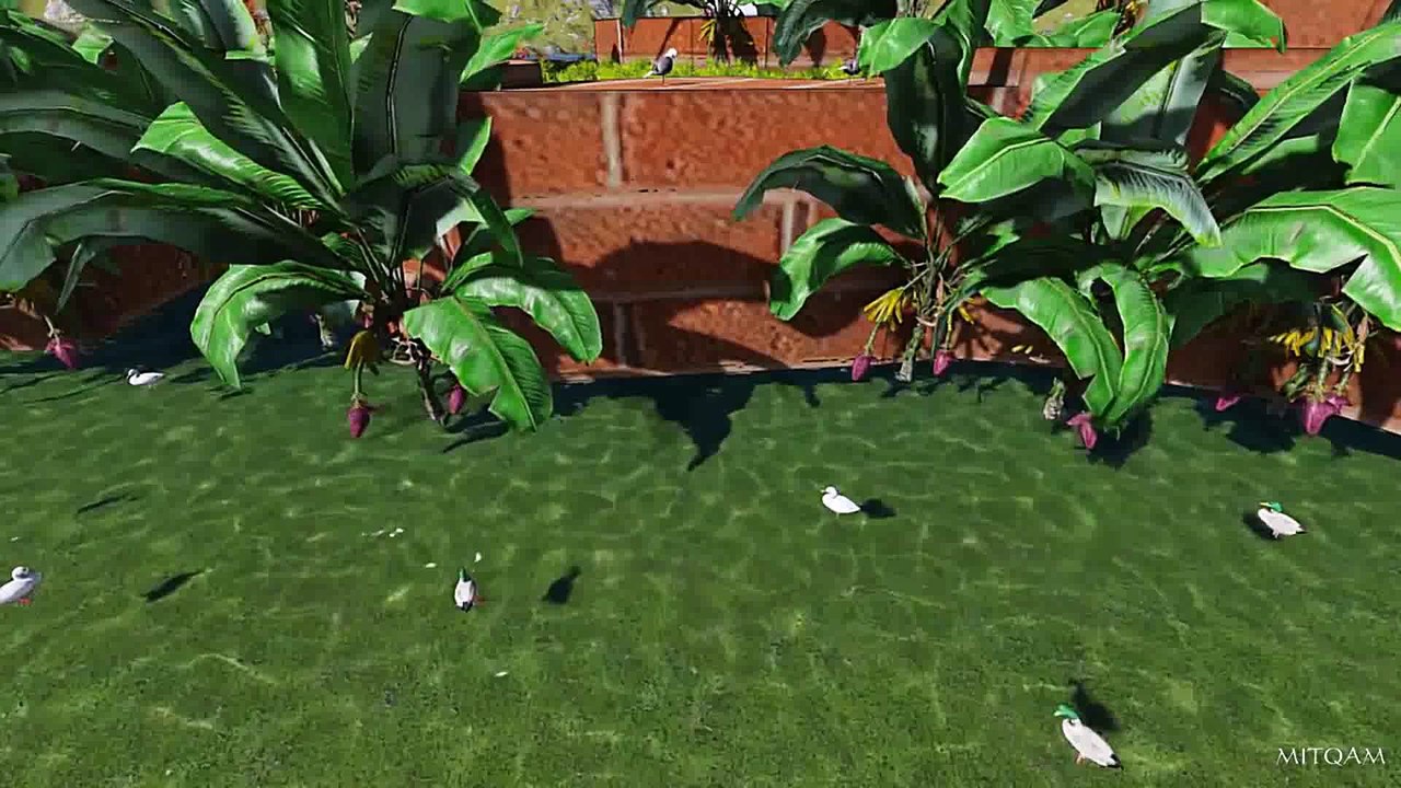 CASA NA ILHA