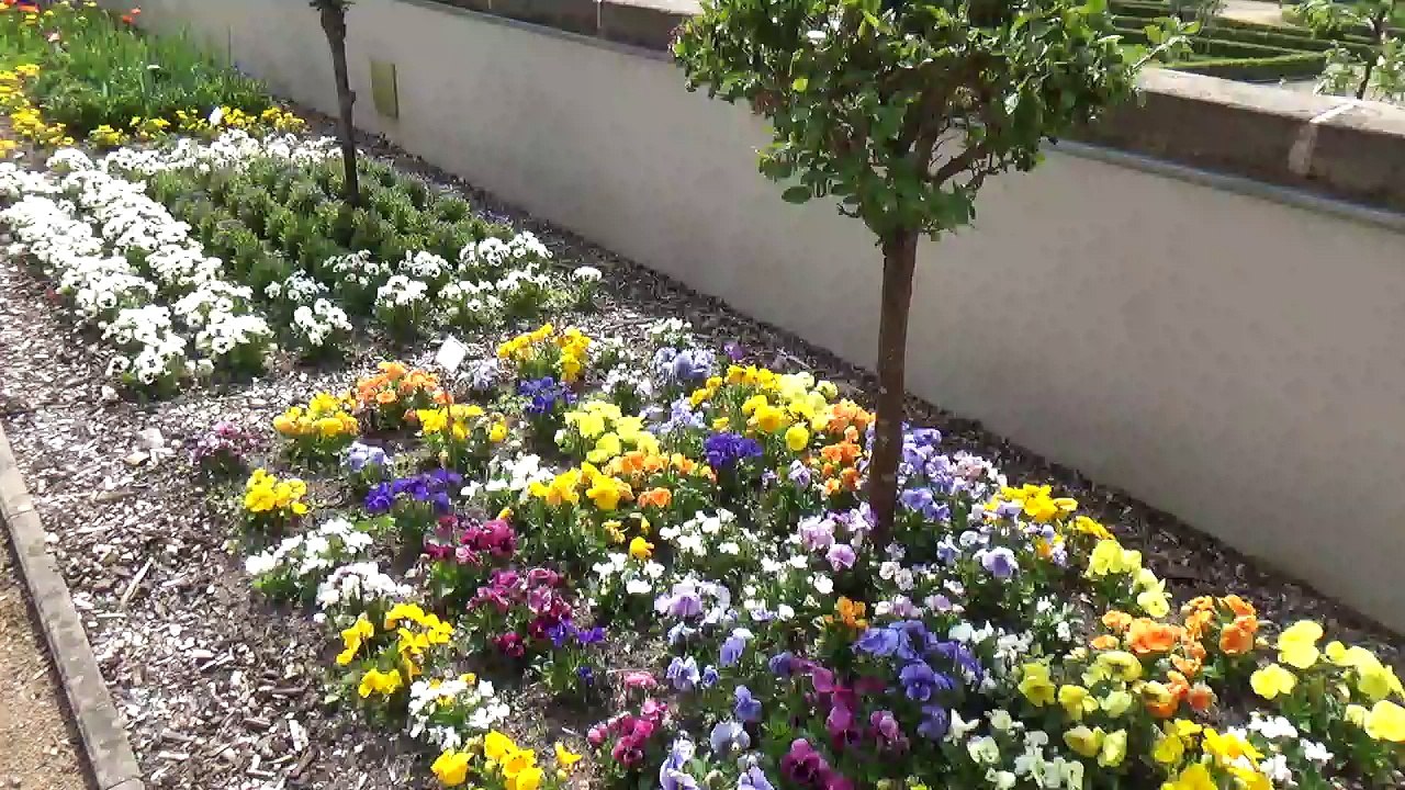 Hofgarten 30.04.2016 - Der Mai ist gekommen