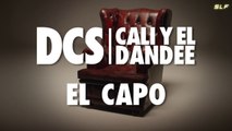 DCS - El Capo ft. Cali Y El Dandee.SLF videoremix