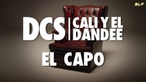 DCS - El Capo ft. Cali Y El Dandee.SLF videoremix