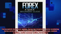 FREE EBOOK ONLINE  Forex quick beginner guide Forex for beginner forex scalping forex strategy currency Online Free