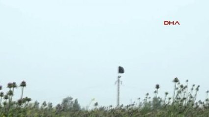 Irak'ta Türkmen Köyünün Işid'den Temizlenmesi İçin Operasyon Sürüyor