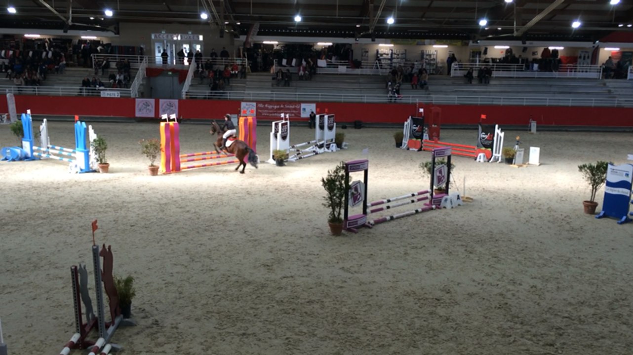 Les poneys en compétition à Poneys sous les pom...