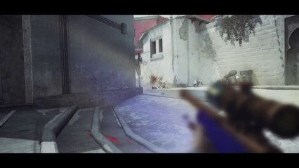 GUNS FOR HANDS [CSGO]