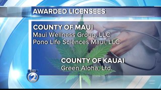 State announces selection of medical marijuana dispensary licenses