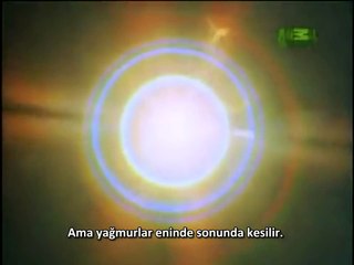 Evrime kanıt, Akciğer Balığı ilkel akciğerlere sahip bir balık türü