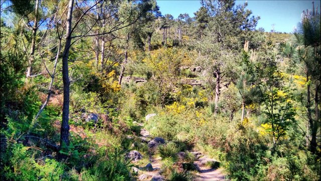 Camino de Aguas Blancas, Pobra do Caramiñal