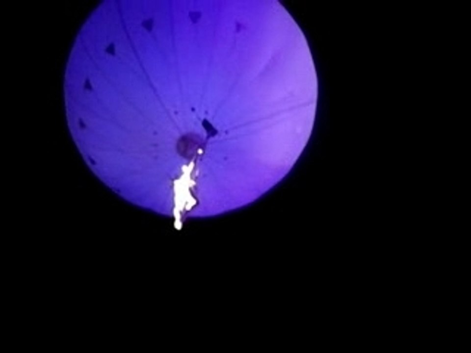 Danseuses - Muse au Parc des Princes