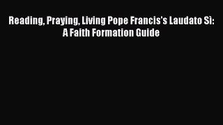Ebook Reading Praying Living Pope Francis's Laudato Sì: A Faith Formation Guide Read Full Ebook