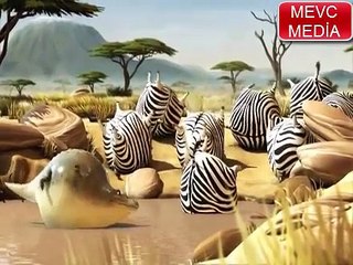 ŞİŞMAN VAHŞİ HAYVANLAR VE KOMİK KUŞLAR