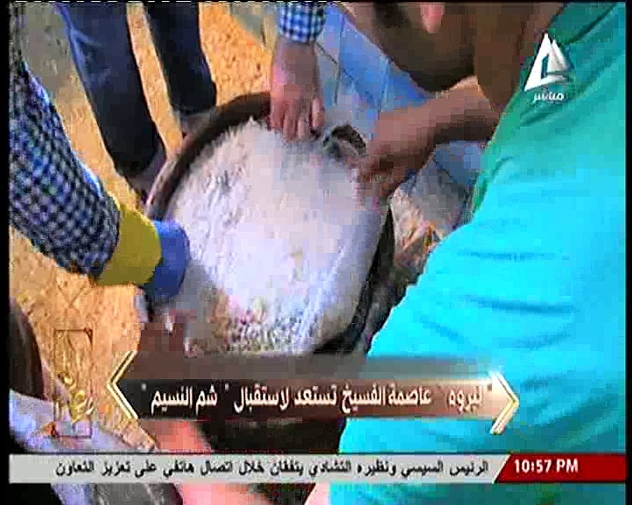 "أنامصر" يعرض تقرير يوضح أسعار الفسيخ