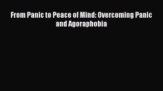 Read From Panic to Peace of Mind: Overcoming Panic and Agoraphobia Ebook Free