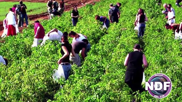 Top 7 Increibles Profecias Sobre Israel que se han cumplido en nuestros dias