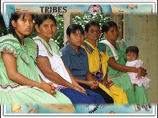 ABORÍGENES - POEMA DE VERANO BRISAS