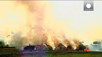 Kenya burns huge ivory stockpile calling for ban on trade