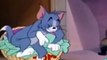 Tom and Jerry Cartoon Episodes | Animated Cartoon Movies For Kids | Animation Movies