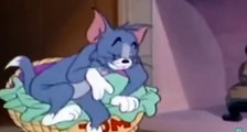 Tom and Jerry Cartoon Episodes | Animated Cartoon Movies For Kids | Animation Movies